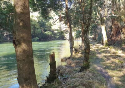 Rio Sor, O Vicedo