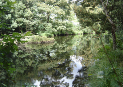 Morgallón - Río Sor - Morgallón
