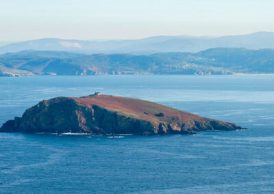 Isla Coelleira